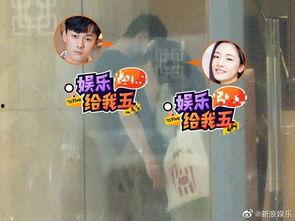 小花爆料解说大全视频,揭秘热门视频背后的精彩故事