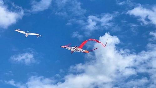 潍坊风筝节最新爆料新闻,千姿百态风筝展翅翱翔