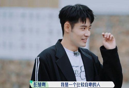 圈内爆料周也张翰,甜蜜互动引网友热议