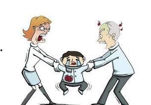 石家庄警方最新爆料,重大案件侦破背后的故事