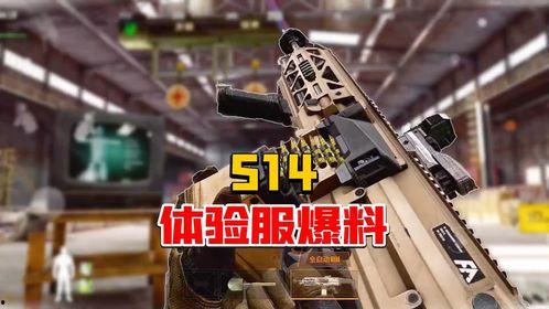 暗区突围s12爆料视频,揭秘全新爆料视频中的神秘内容