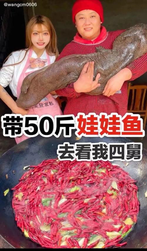 网红吃白鲨被爆料了视频