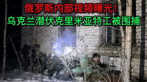 乌克兰内部爆料事件视频,揭秘真相与内幕