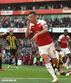 厄齐尔最新爆料图片