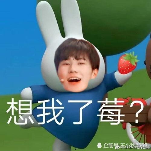 娱乐吃瓜酱男孩发表情包,趣味横生的网络潮流