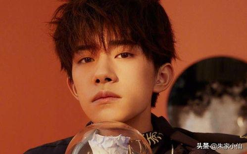 吃瓜娱乐杨洋完整版,揭秘明星幕后生活