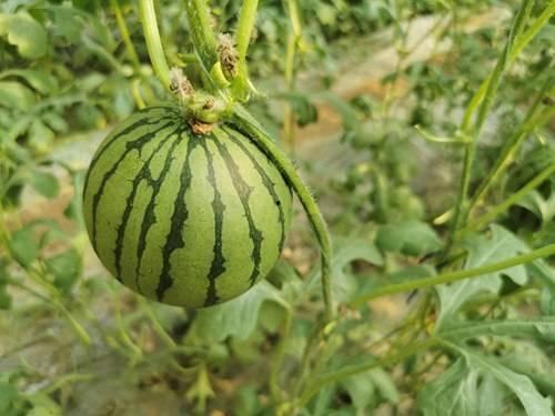 小小红娱乐吃瓜说,揭秘娱乐圈最新热点事件