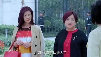 娱乐吃瓜小花设局视频