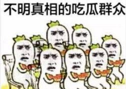 微信表情中吃瓜是什么意思