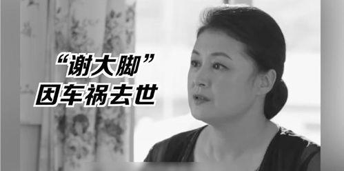娱乐圈的大瓜吃瓜视频,揭秘明星背后的惊人真相!
