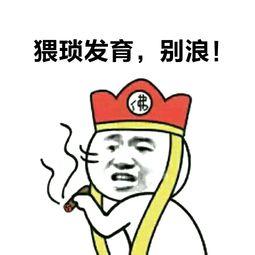 吃瓜表情高情商回复句子,轻松应对社交场合
