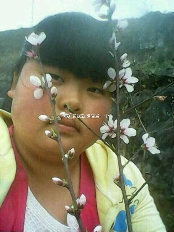 娱乐吃瓜走红视频下载